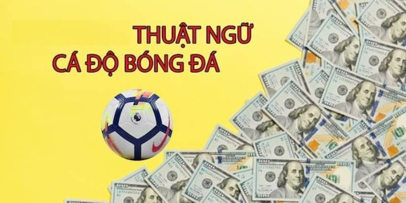 Tìm hiểu các thuật ngữ cá độ bóng đá phổ biến nhất